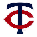 Minnesota Twins Layered Metal Wall Art