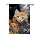 CATS! Suede House Flag