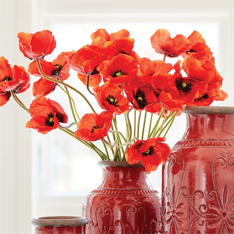 Napa Home Garden, POPPY 27" BUNDLE/6,tp202or