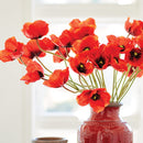 NAPA Home & Garden, POPPIES, BUNDLE OF 6