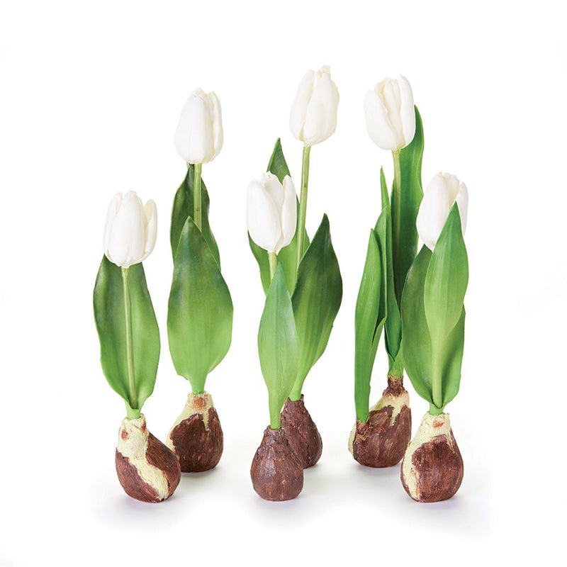 Napa Home Garden, STANDING TULIPS WITH BULBS ,SET OF 6,tp205