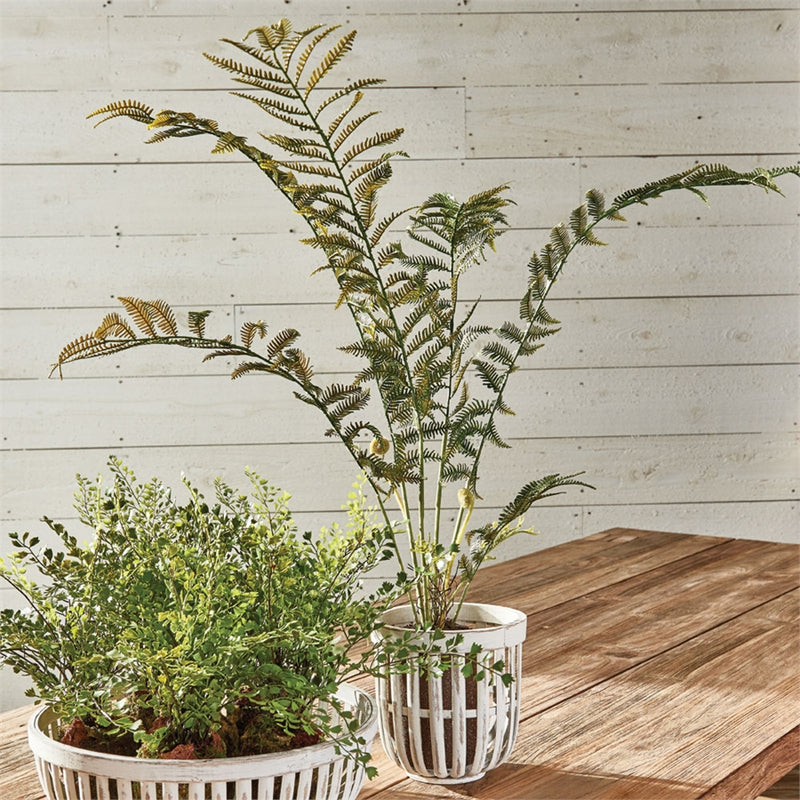 Napa Home Garden, SWORD FERN 32" DROP-IN,tp206