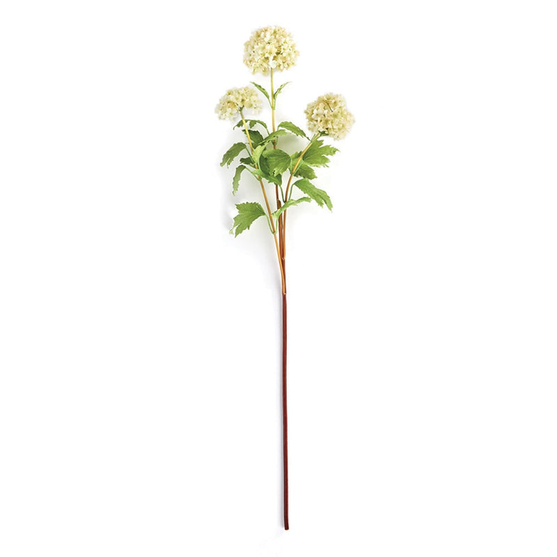 Napa Home Garden, VIBURNUM 30" STEM,tp209