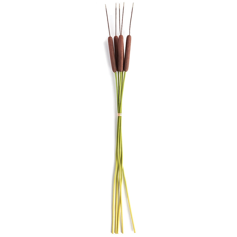 Napa Home Garden, CATTAILS 50" BUNDLE/5,tp212