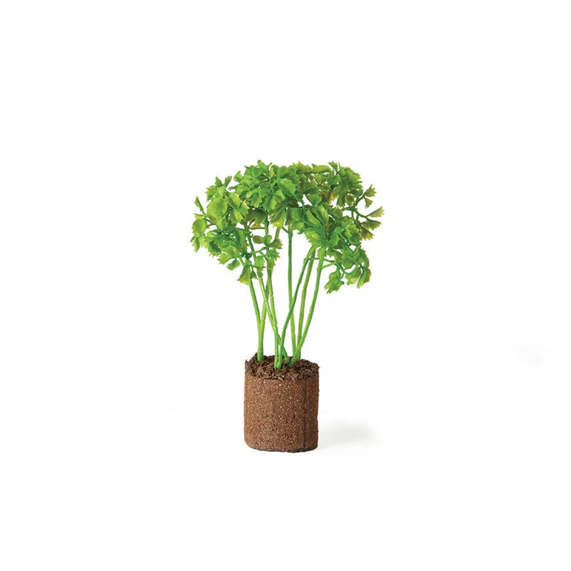 Napa Home Garden, PARSLEY 8" DROP-IN,tp222