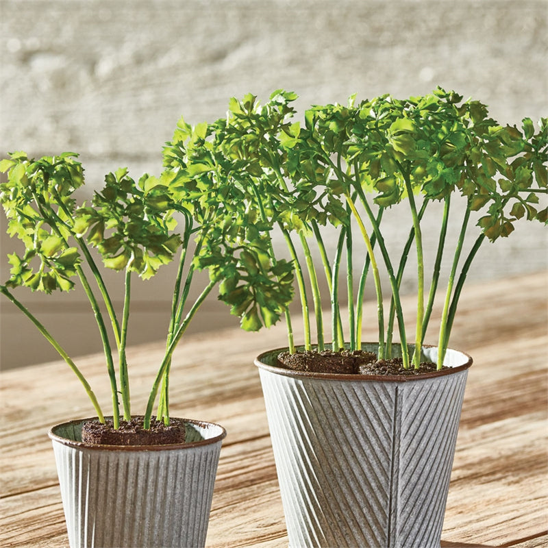 Napa Home & Garden Parsley 8" Drop-in