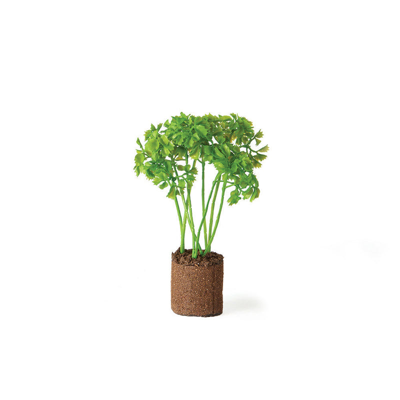 NAPA Home & Garden, PARSLEY DROP-IN 8",TP222