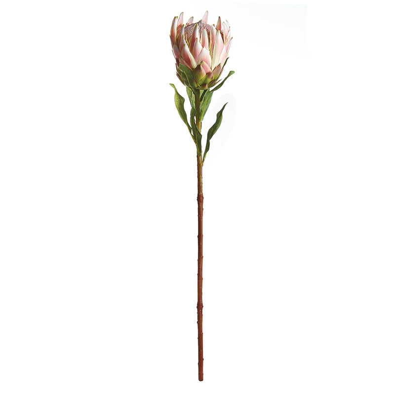 Napa Home Garden, KING PROTEA 33" STEM PINK,tp228pk