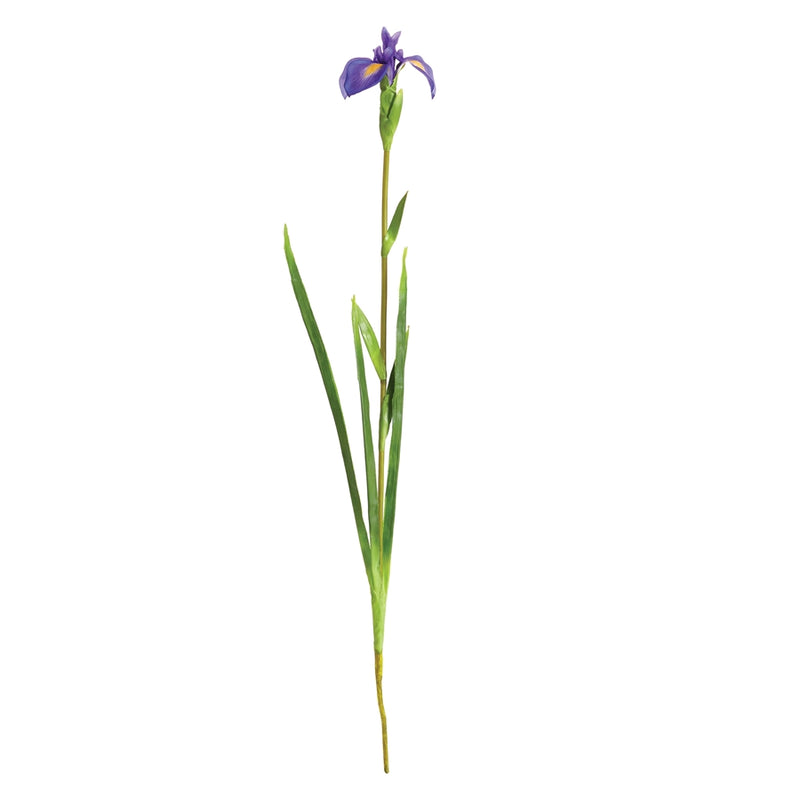 Napa Floral Collection-Dutch Iris Stem 35 inches Purple