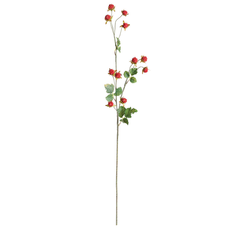 NAPA Home & Garden, WILD RASPBERRY STEM 31",TP414