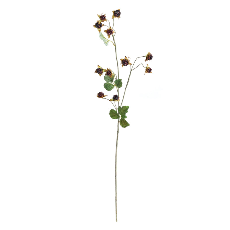 Napa Home Garden, WILD BLACKBERRY STEM 31",tp415