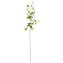 NAPA Home & Garden, CLOVER STEM 26",TP417