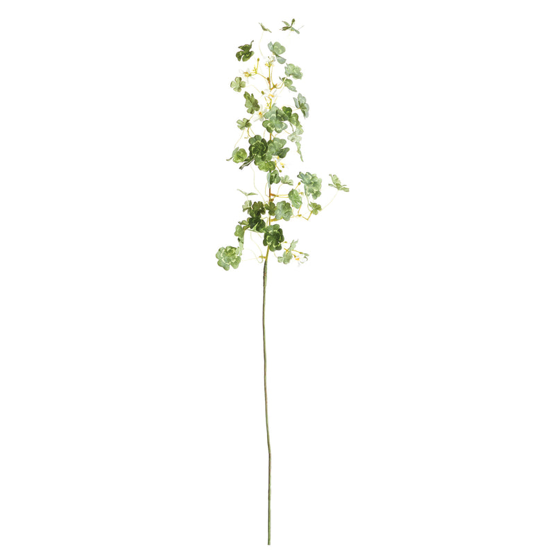 NAPA Home & Garden, CLOVER STEM 26",TP417