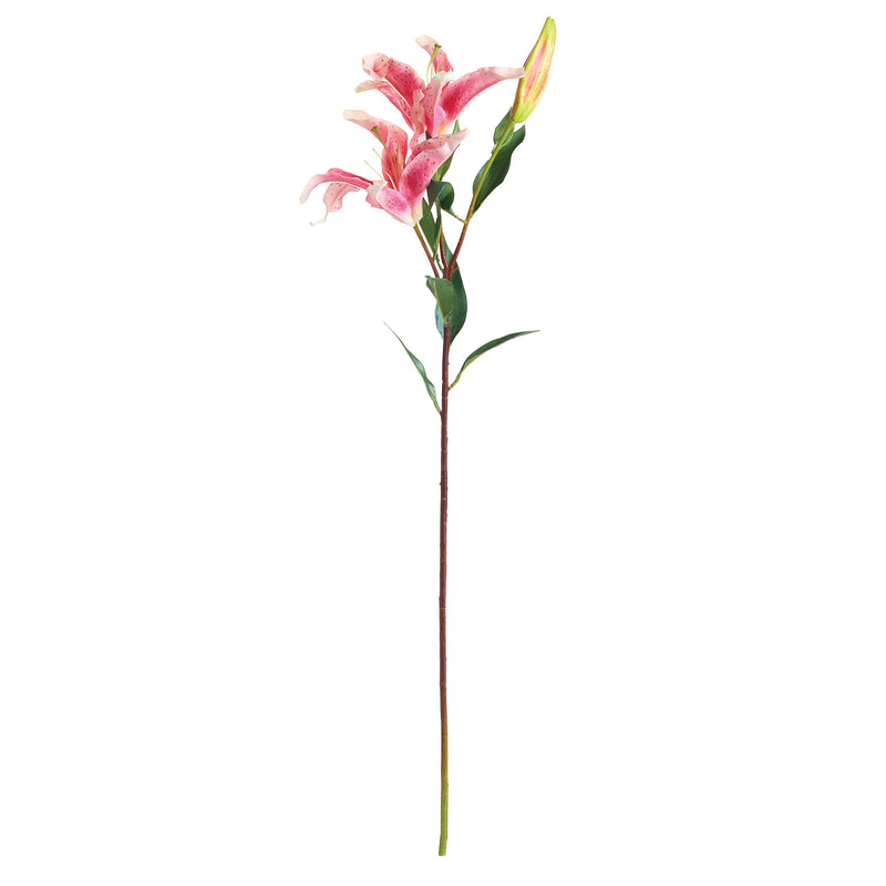 NAPA Home & Garden, LILY STEM 37",TP420