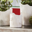 NAPA Home & Garden, MODERN FAUX BOIS 6.25" POT,TQ169