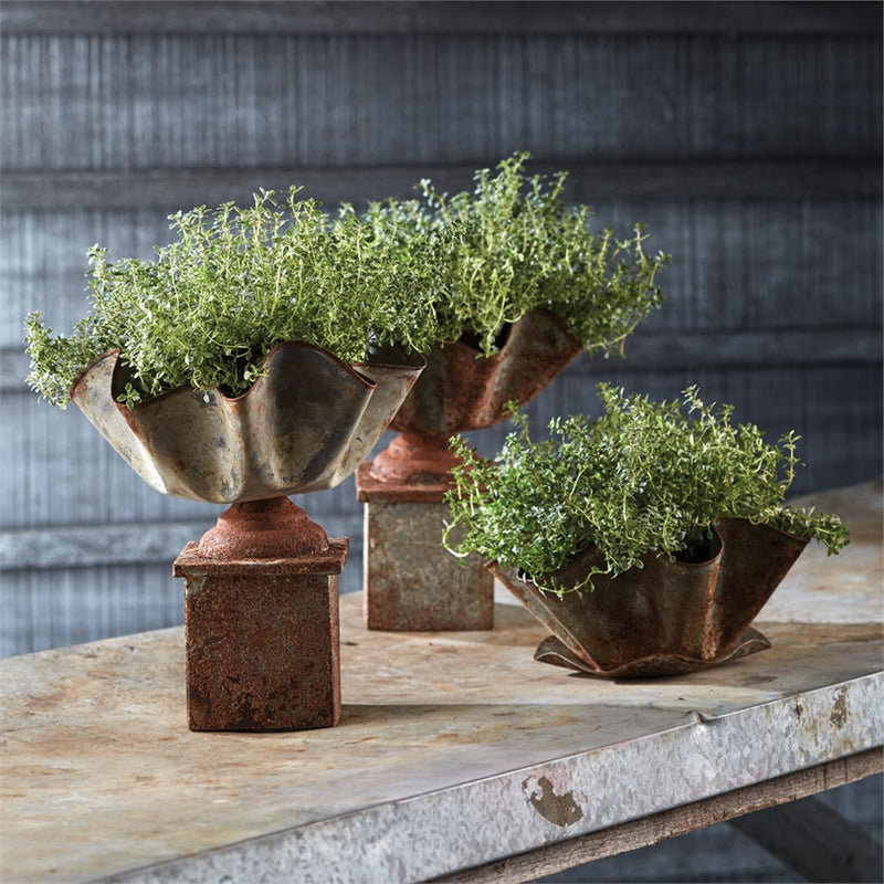 Galvanized Handkerchief Pot W/Saucr