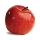 Napa Home Garden, GALA APPLE 3.25",w1003r