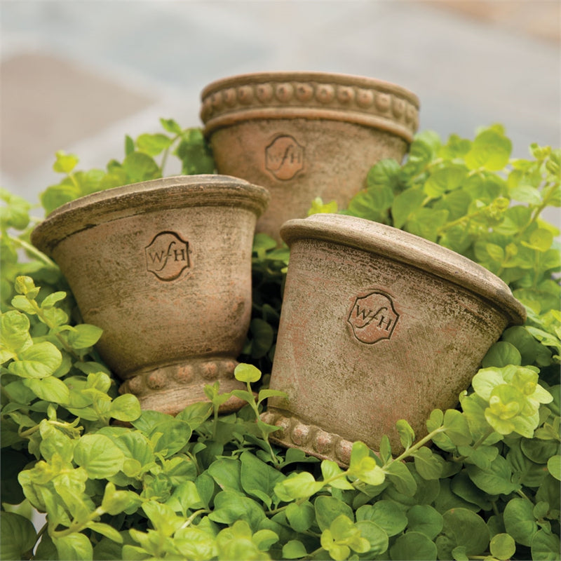 Napa Home Garden, WH MINI POTS ,SET OF 6,wh111at