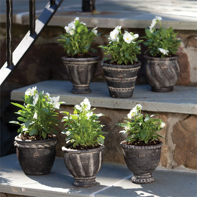 Wh Mini Pots , Set of 6