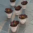 NAPA Home & Garden, WAKEFIELD HANDMADE MINI POTS, SET OF 6