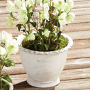 NAPA Home & Garden, Wakefield Handmade Alvena Pot Collection