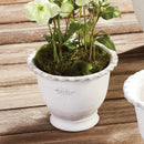 NAPA Home & Garden, WAKEFIELD HANDMADE ALVENA POT Collection