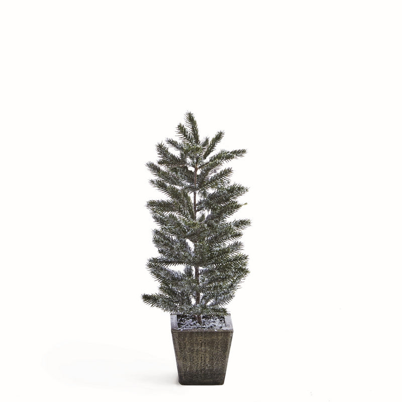 NAPA Home & Garden, FROSTED PINE SAPLING IN WOOD POT 20.5"H,Z5139FR