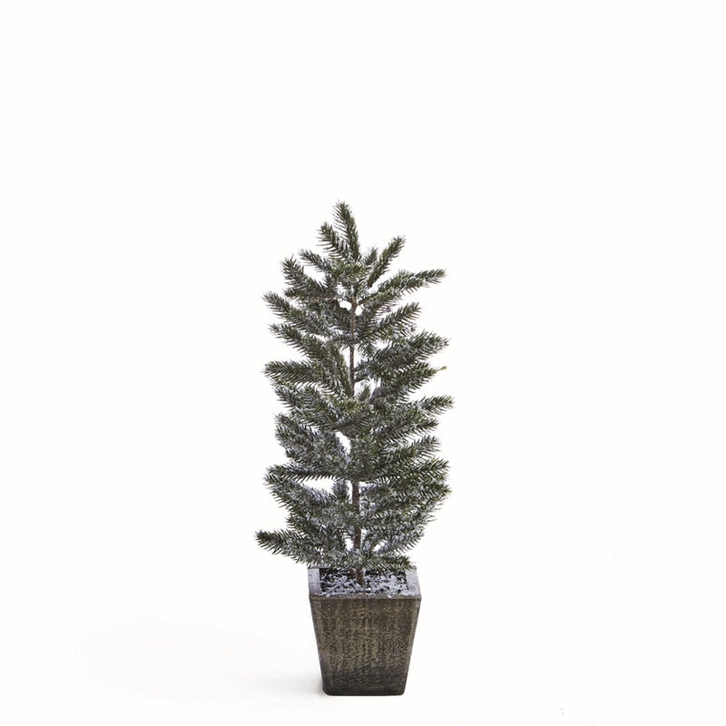 Napa Home Garden, FROSTED 20.5" PINE SAPLING IN POT,z5139fr