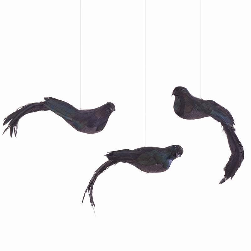 NAPA Home & Garden, BLACKBIRD ORNAMENTS, SET OF 3,ZF5826BK