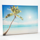 LED Outdoor Canvas, Palm Beach