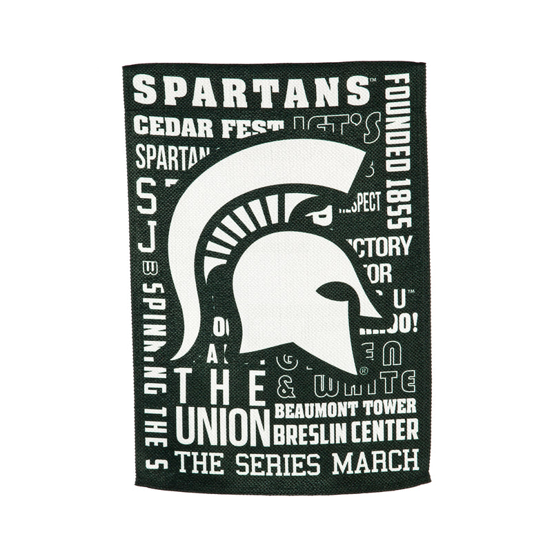 Fan Rules ES REG, Michigan State University,13es971fr