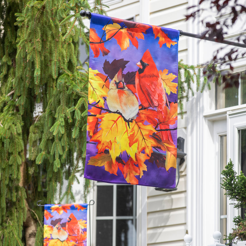 Cardinal Friends House Lustre Flag,13lu11062