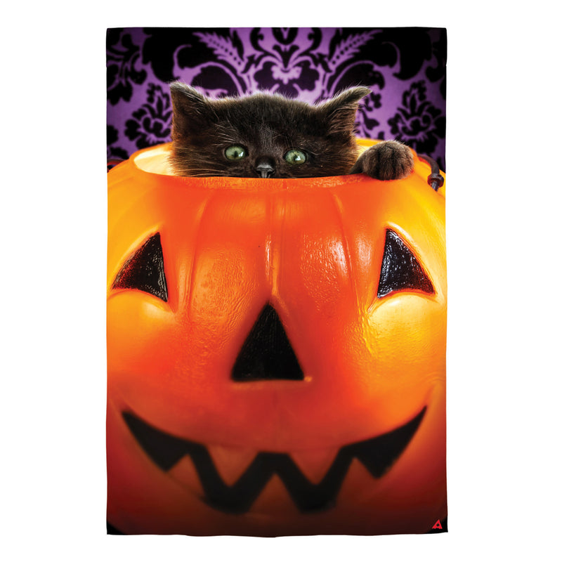 Kitten in Pumpkin Bucket Lustre House Flag,13lu12038