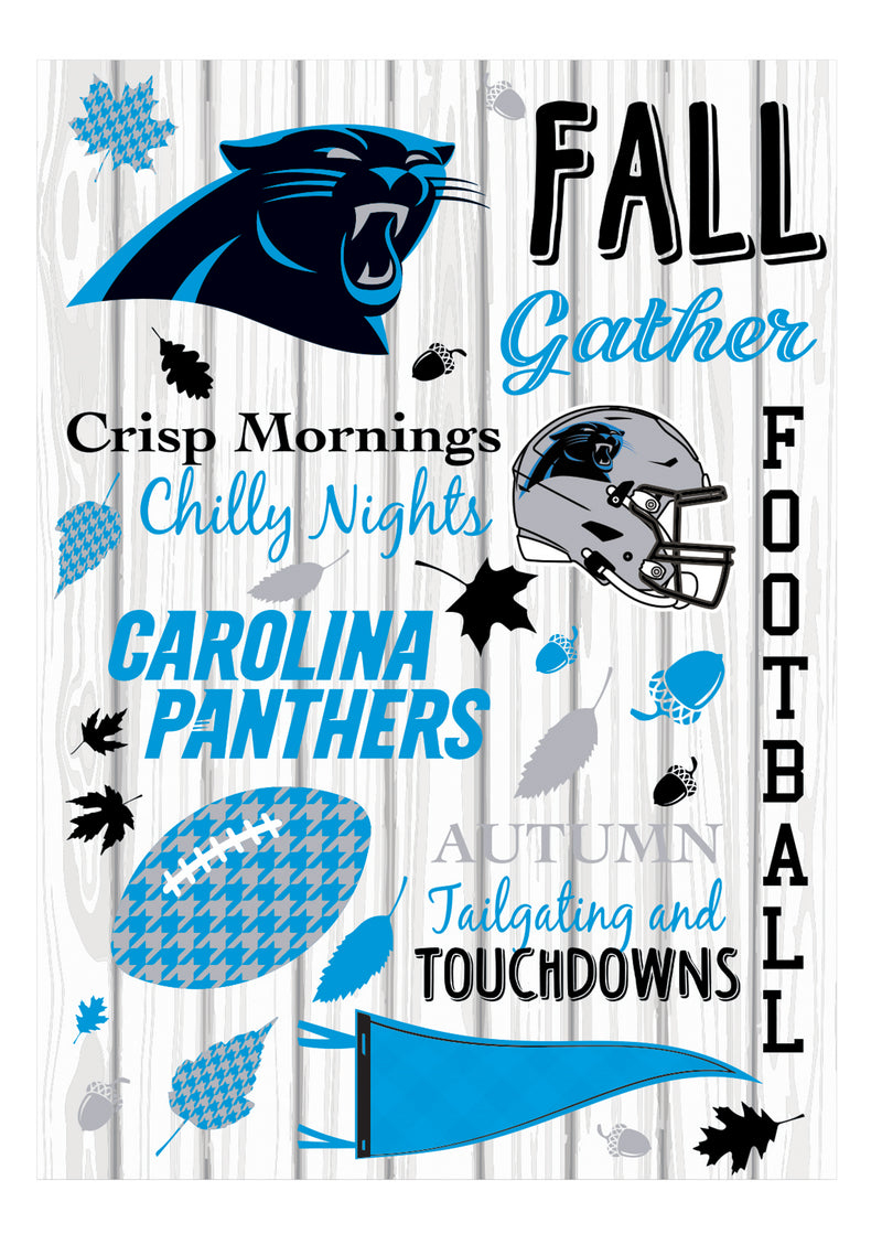 Carolina Panthers, Moire Flag, House Size, Fall Seasonal,13m3804