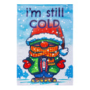 I'm Still Cold Suede House Flag,13s12232