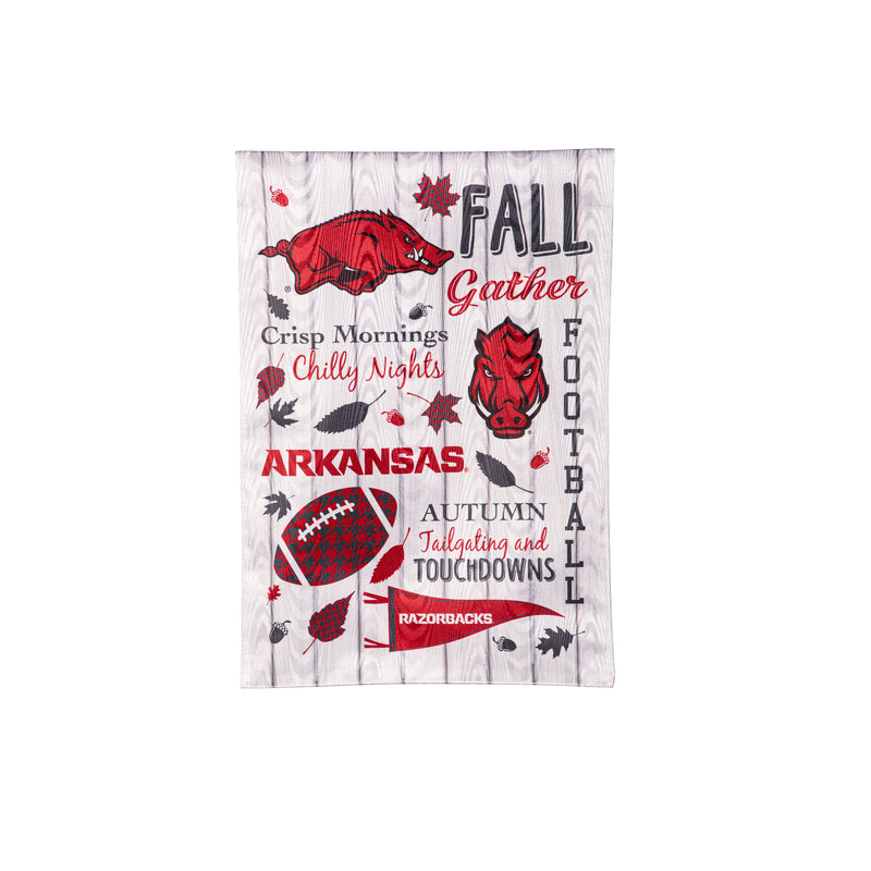 University of Arkansas, Moire Flag, GDN, Fall Seasonal,14m911