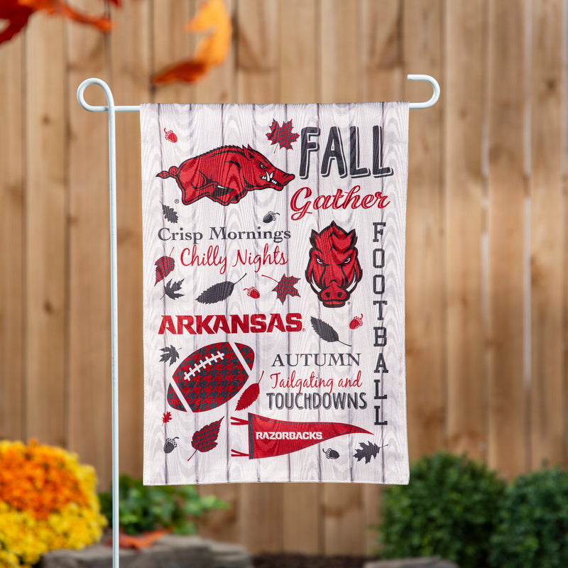 University of Arkansas, Moire Flag, GDN, Fall Seasonal,14m911