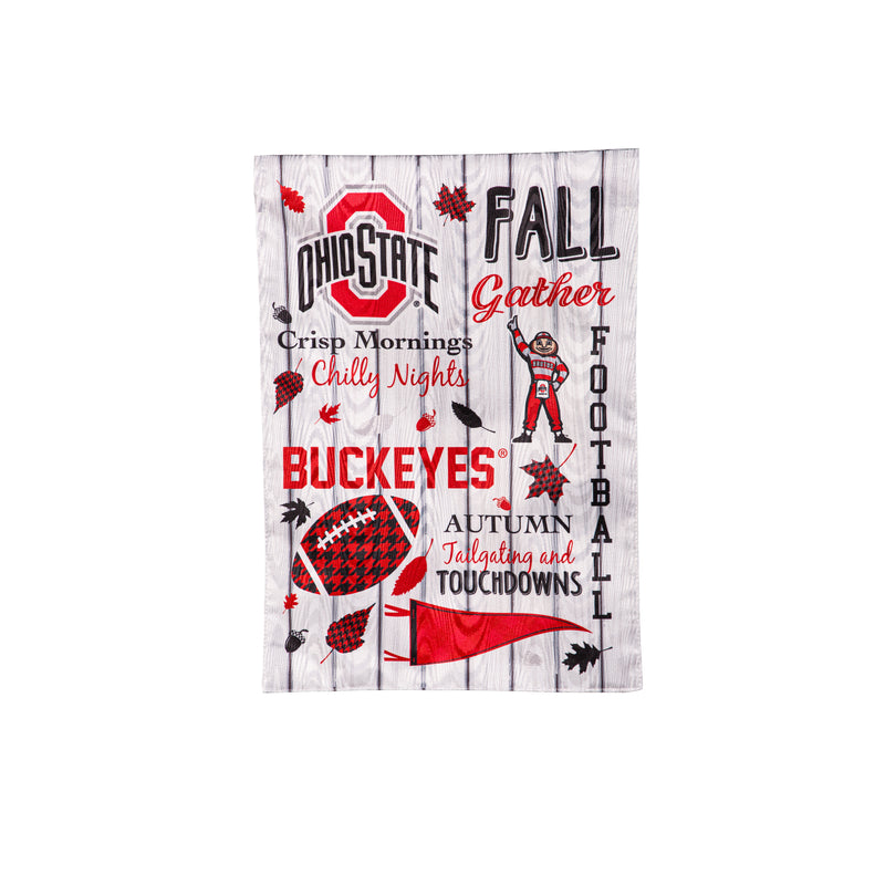 Ohio State University, Moire Flag, GDN, Fall Seasonal,14m973