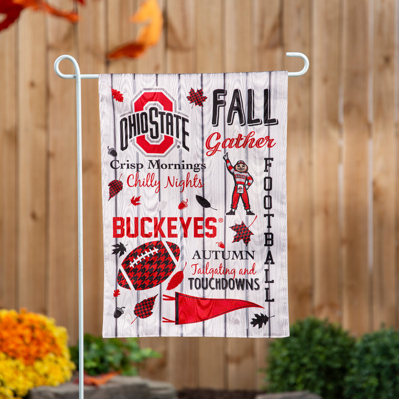 Ohio State University, Moire Flag, GDN, Fall Seasonal,14m973