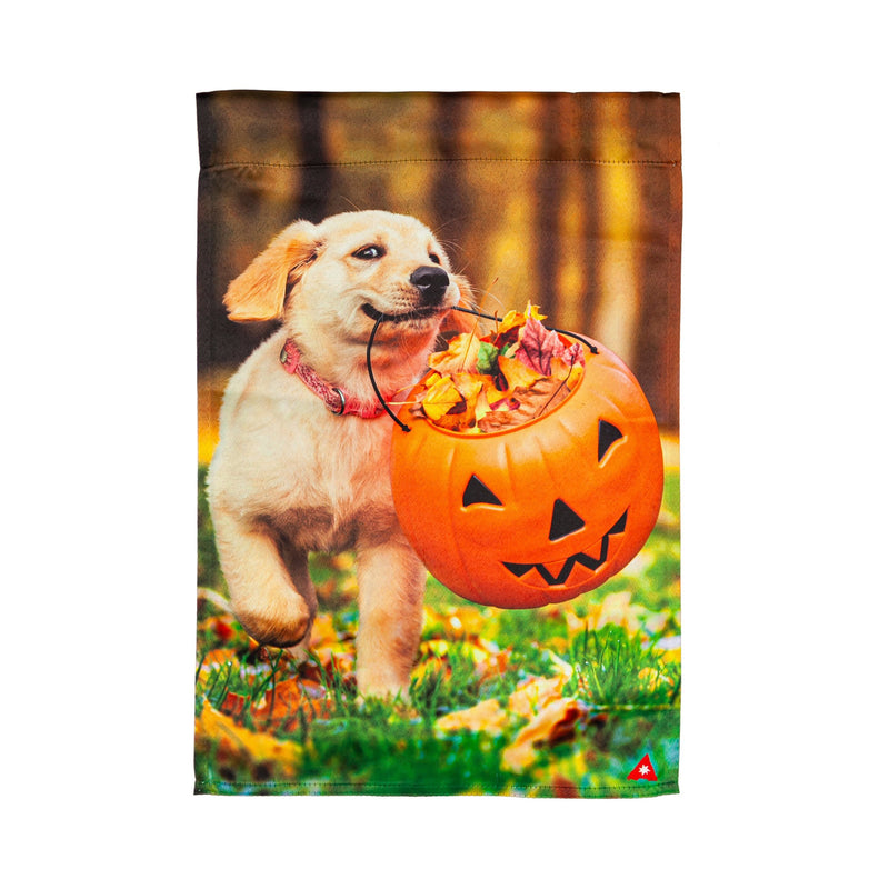 Trick or Treat Puppy Garden Suede Flag,14s10492