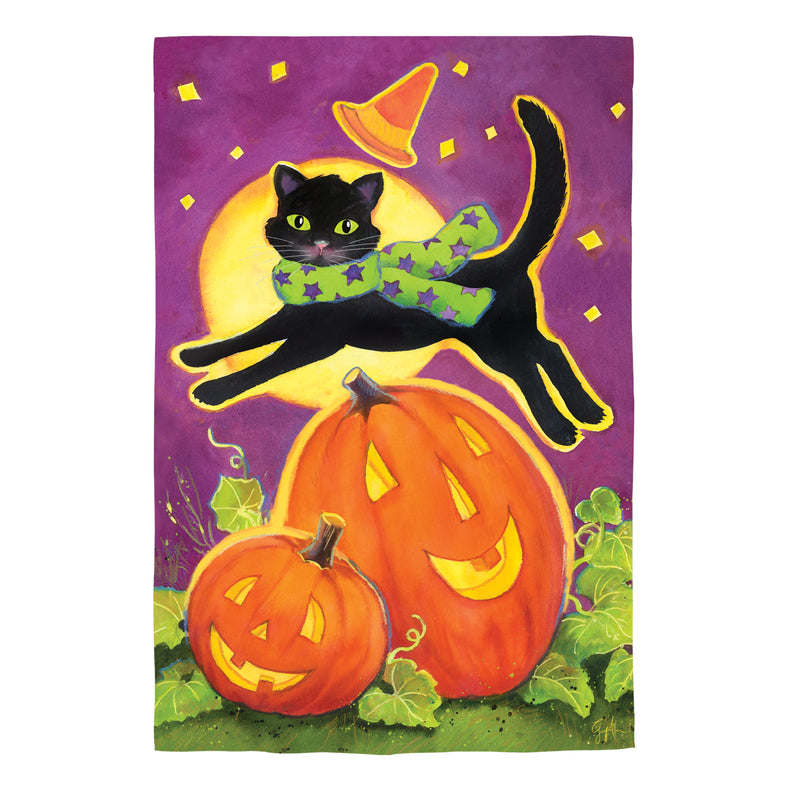 Over the Moon Cat Suede Garden Flag,14s11578