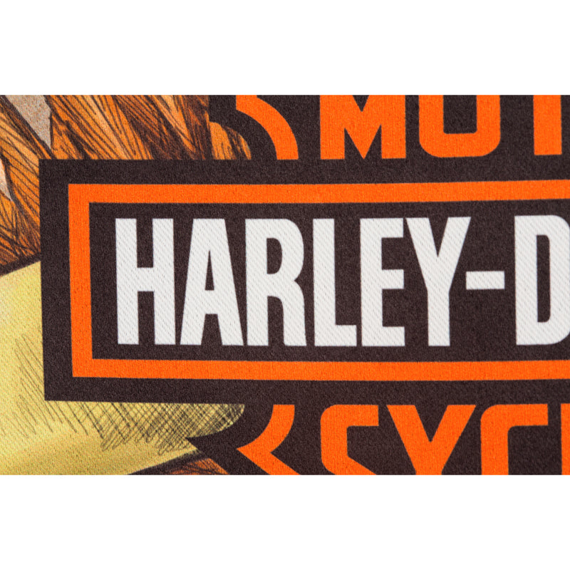 Flag, Suede, Gar, DS, Legendary Eagle, H-D,14s4920fb