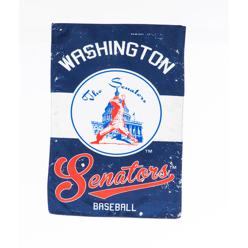 Washington Nationals, Vintage Linen GDN,14l4229vint