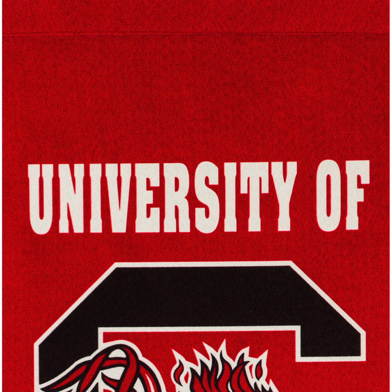 University of South Carolina, Flag Banner,14lb954xl