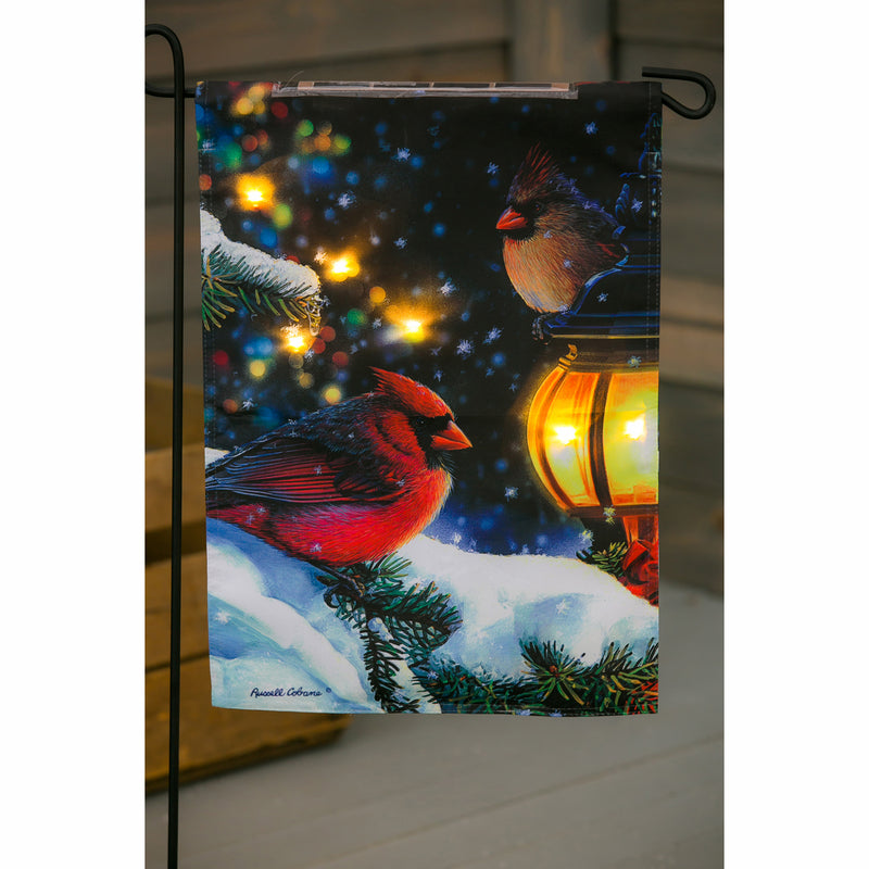 Snowy Night Birds Solar LED Garden Flag,14sl8184