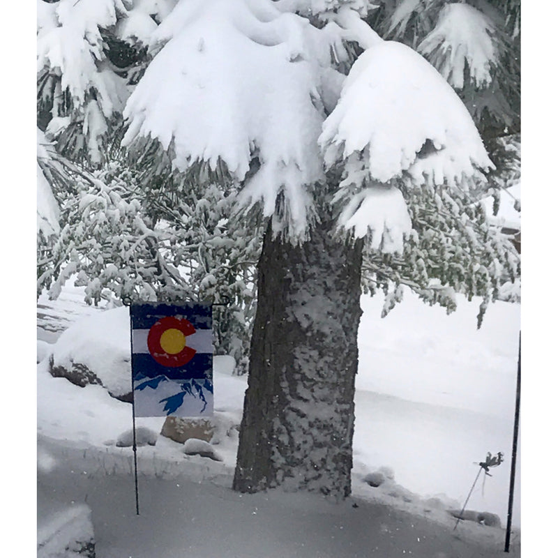 Evergreen Flag,Colorado State Garden Applique Flag,12.5x0.2x18 Inches