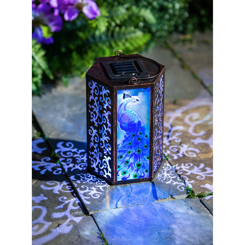 Handpainted Embossed Glass and Metal Solar Lantern, Peacock,5.91"x5.31"x8.27"inches