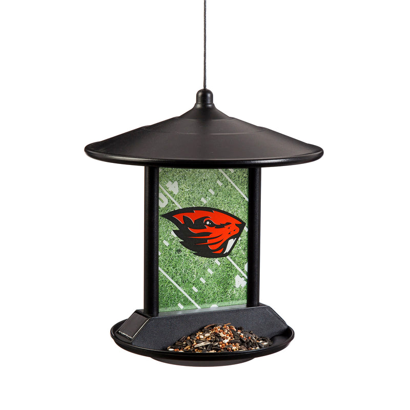 Solar Power Light Up Birdfeeder, Oregon State University,2sp989bf