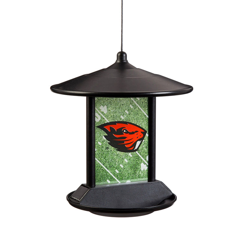 Solar Power Light Up Birdfeeder, Oregon State University,2sp989bf