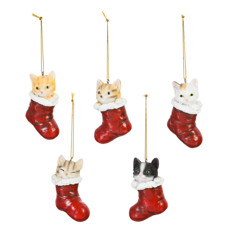 Polyresin Cat in Stocking Ornament, 5 Assorted